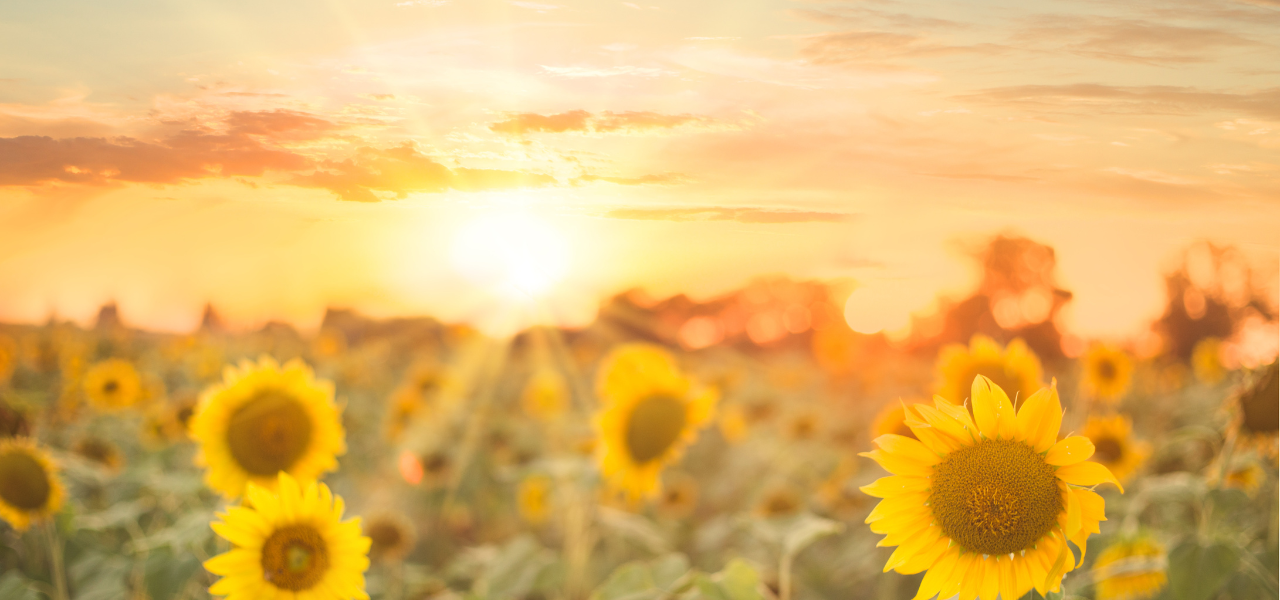 Must-Do Summer Activities in Michigan 